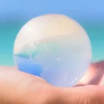 未来への記憶を創りながら生きていく