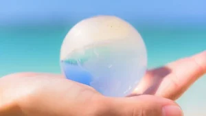 未来への記憶を創りながら生きていく